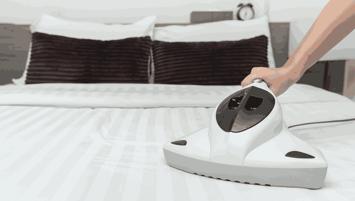 Professional Mattress Cleaning Avalon