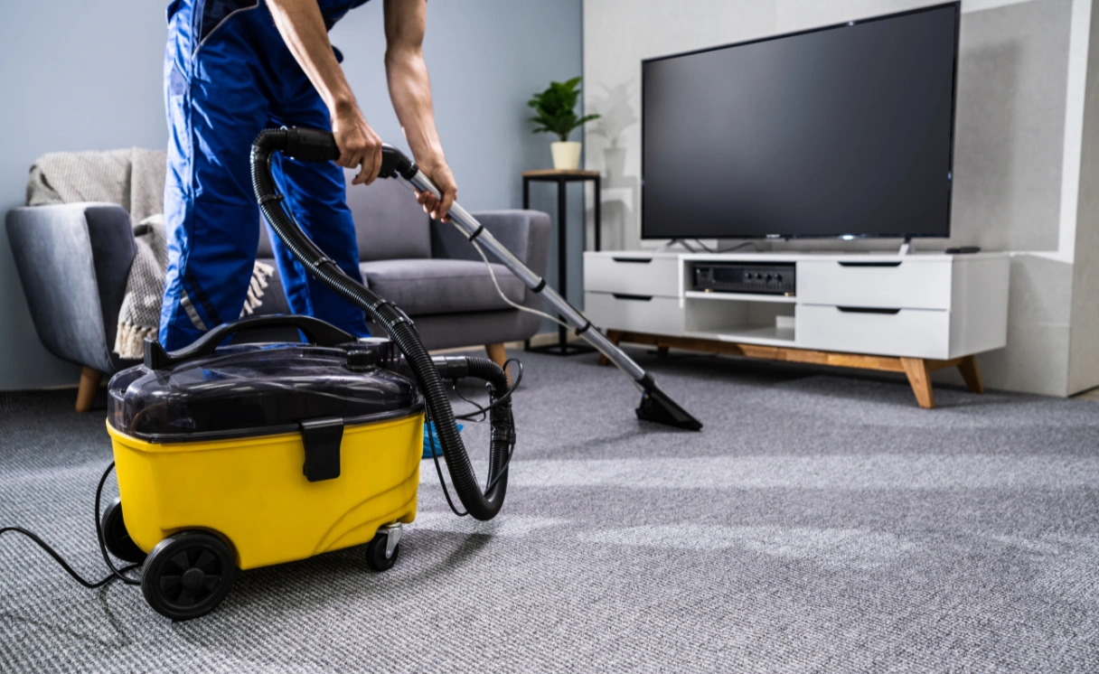 Extract Mattress Cleaning Avalon Contact Office